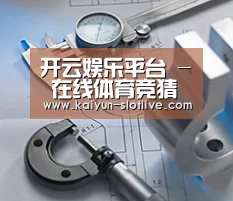 研发能力标题一(图1)