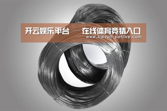 产品展示标题一(图1)