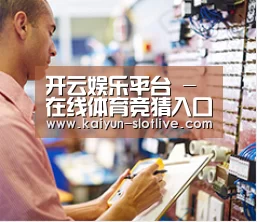 研发能力标题三