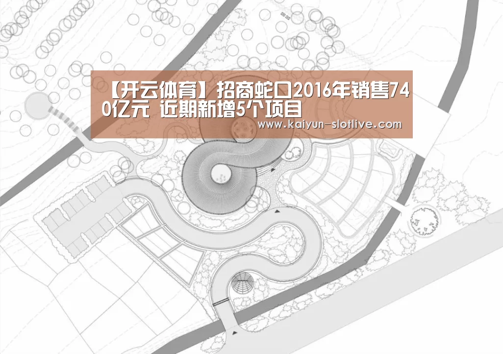 开云体育