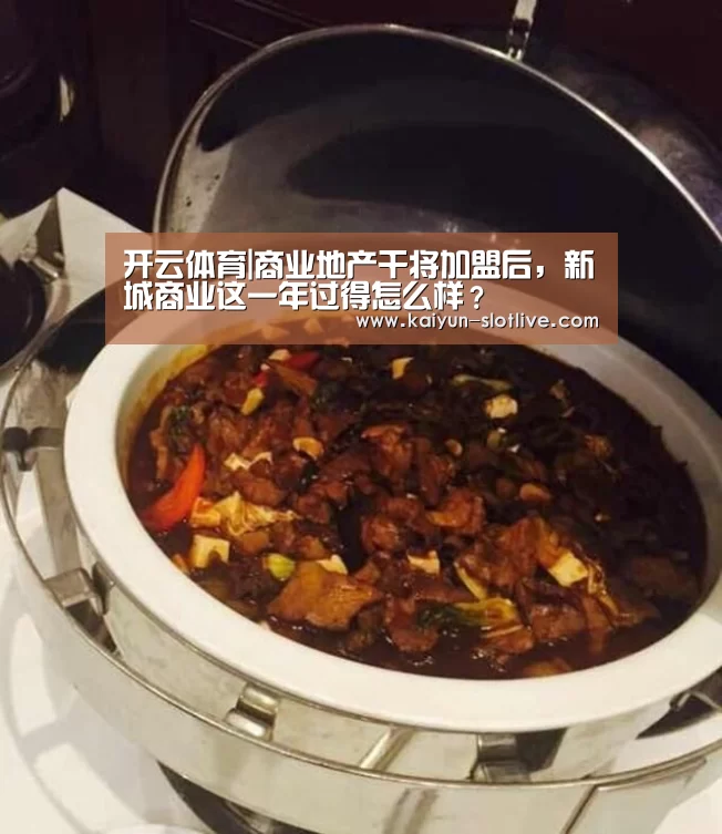 开云体育|商业地产干将加盟后,新城商业这一年过得怎么样?(图3) 开云足球