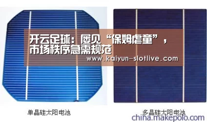开云足球:屡见“保姆虐童”,市场秩序急需规范(图4) 开云足球
