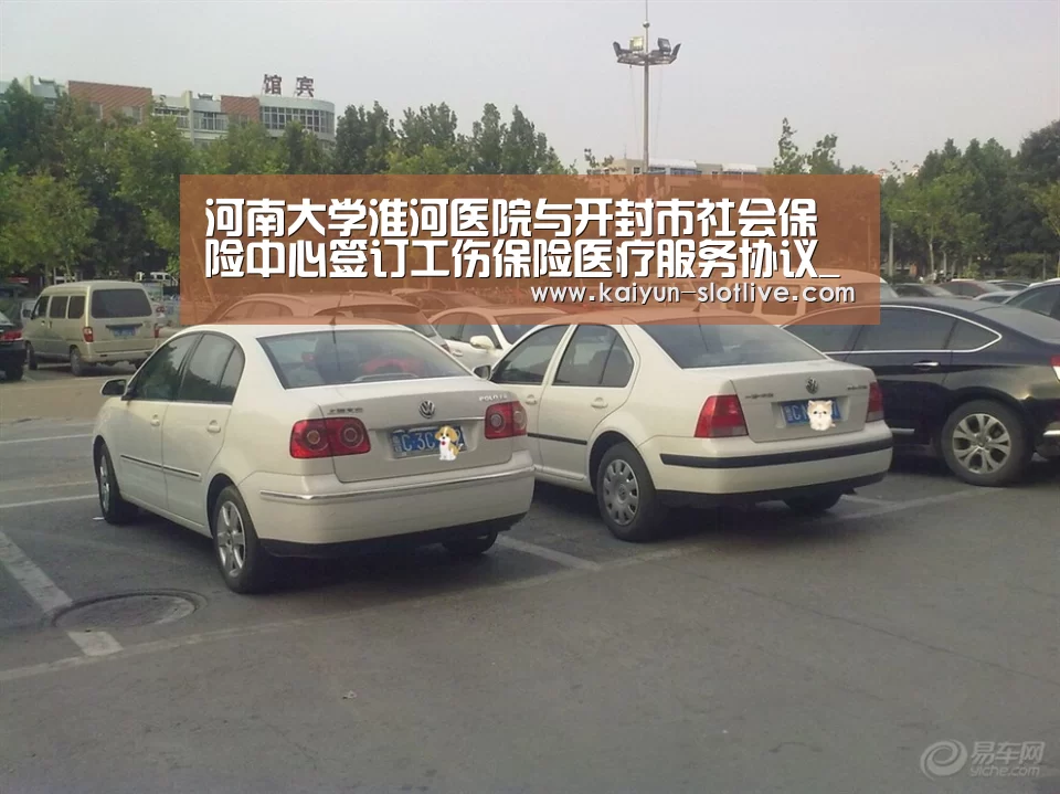 开云篮球