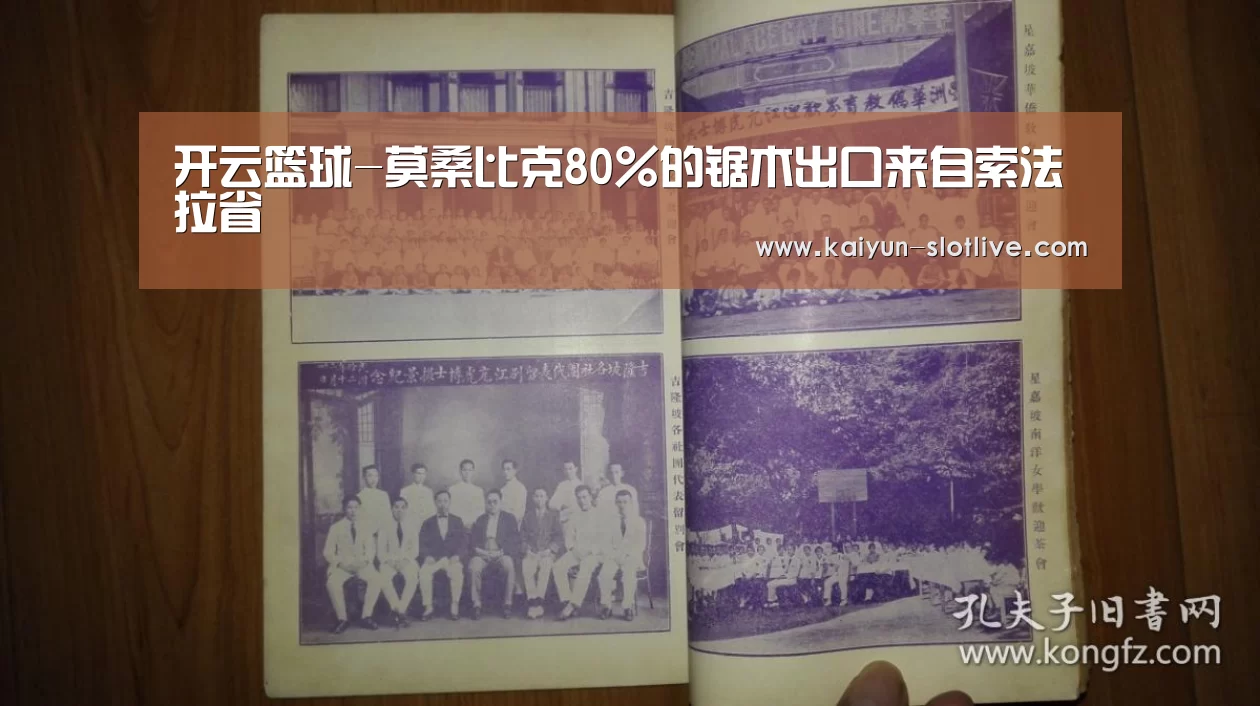 开云篮球