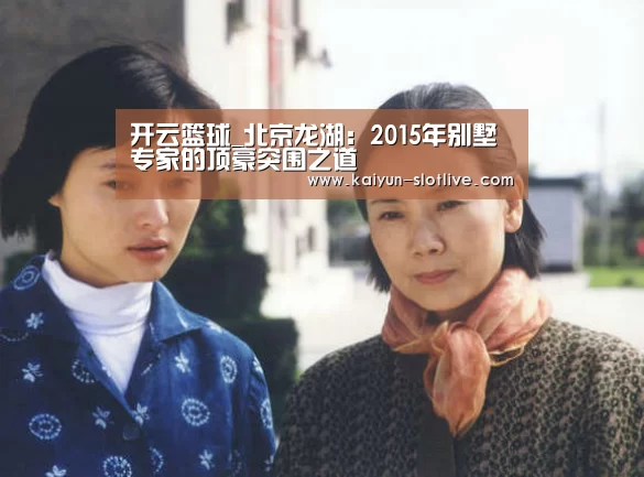 开云篮球_北京龙湖:2015年别墅专家的顶豪突围之道(图4) 开云足球