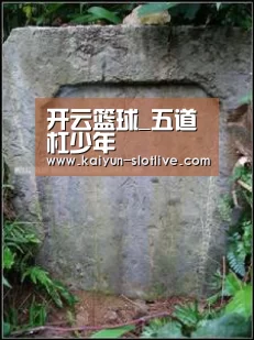 开云篮球
