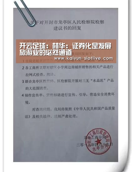 开云足球:林华:证券化是发展旅游业的必然通道(图4) 开云体育