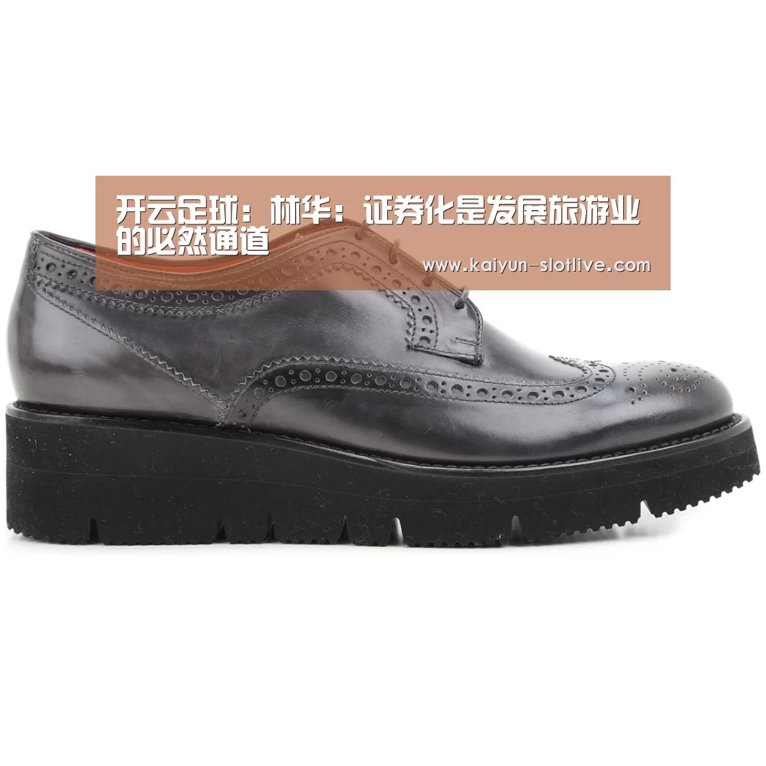 开云足球:林华:证券化是发展旅游业的必然通道(图3) 开云篮球