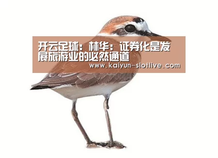 开云足球:林华:证券化是发展旅游业的必然通道(图2) 开云赛事