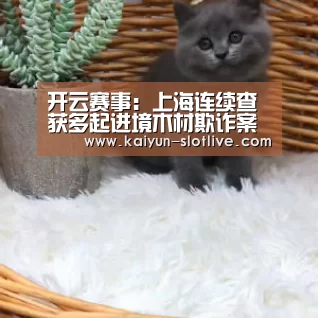 开云赛事：上海连续查获多起进境木材欺诈案